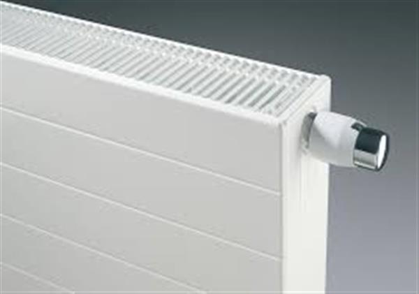 Radson Ramo E-Flow 33 HxL=500 x1200mm 2586W  Op bestelling